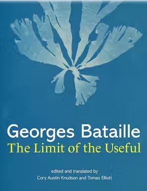 book cover of The Limit of the Useful