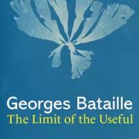 book cover of The Limit of the Useful